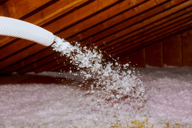 Best Spray Foam Insulation in Lowesville, NC