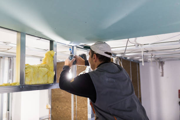 Best Cellulose Insulation in Lowesville, NC