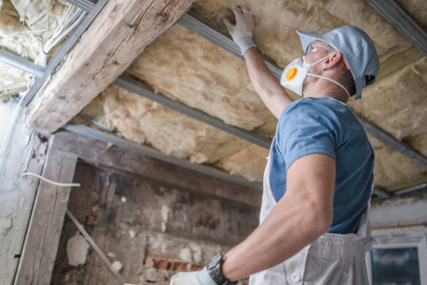 Best DIY Insulation Kits and Guidance in Lowesville, NC