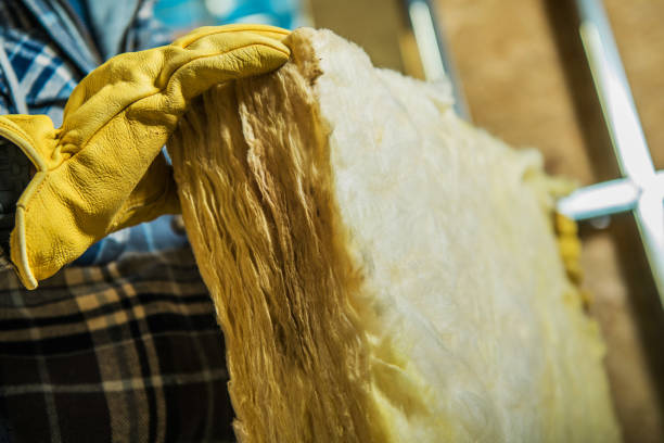 Best Eco-Friendly Insulation in Lowesville, NC