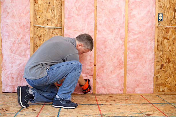 Best Specialized Insulation Services in Lowesville, NC