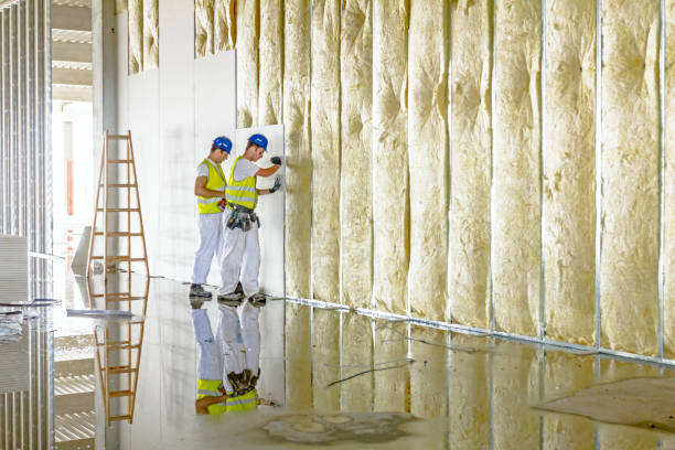 Best Geographic-Specific Insulation Services in Lowesville, NC